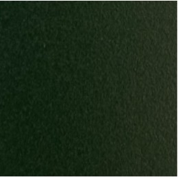 RAL 6009