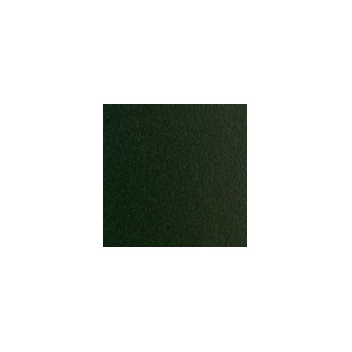 RAL 6009
