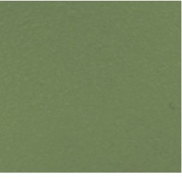 RAL 6021