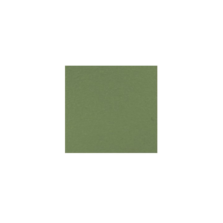 RAL 6021