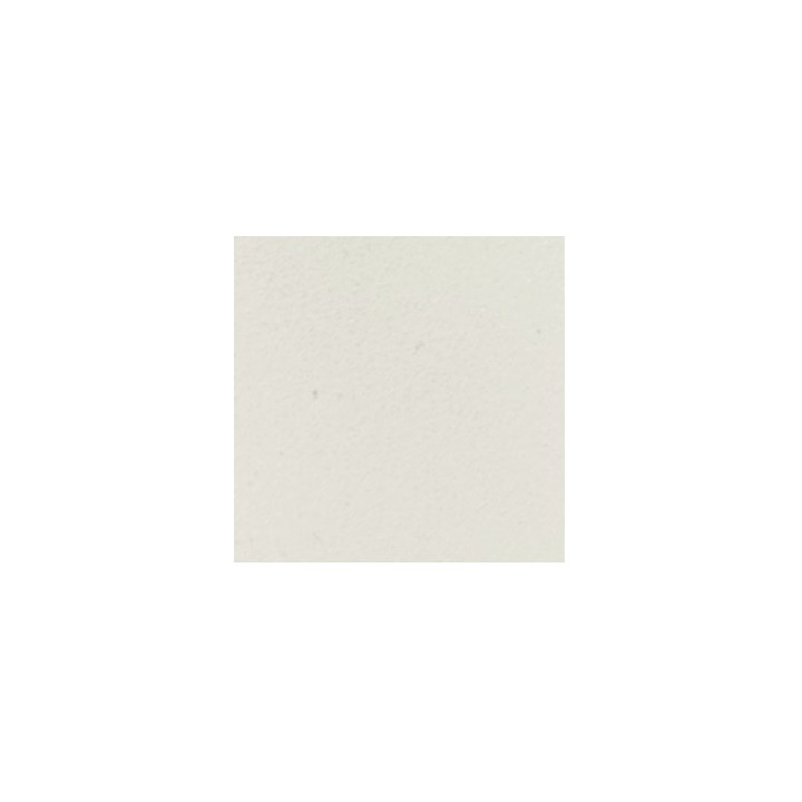 RAL 9010
