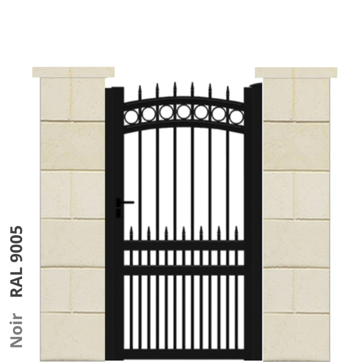 RAL 9005
