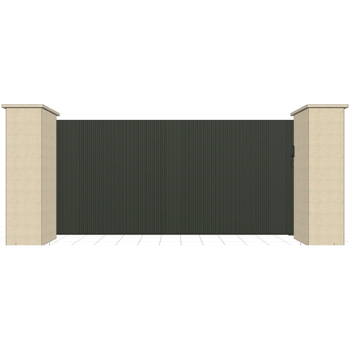 RAL 6009