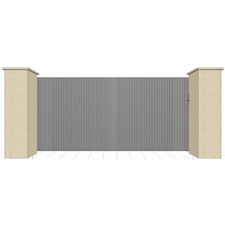 RAL 9007