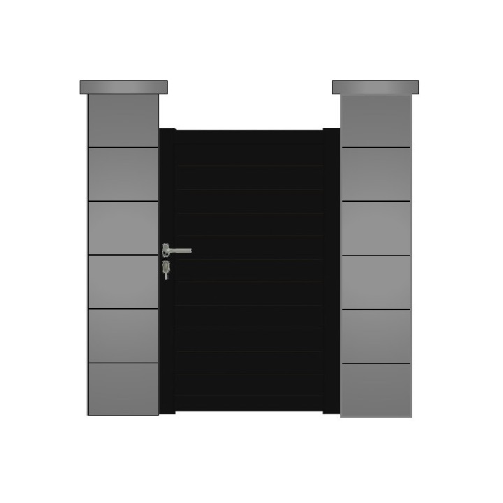 RAL 9005