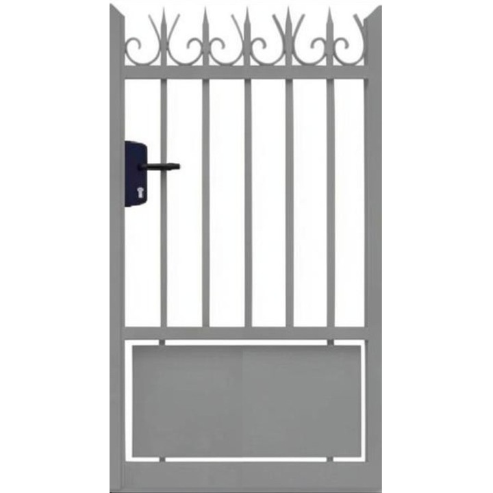 RAL 2900