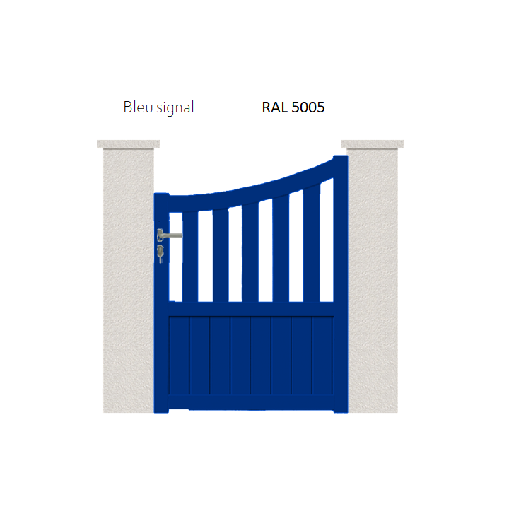 RAL 5005