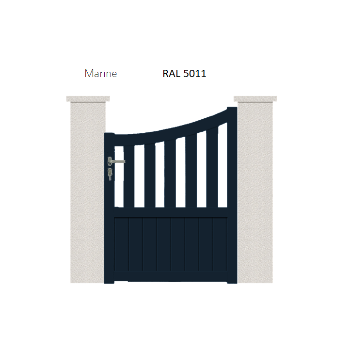 RAL 5011