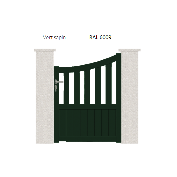 RAL 6009