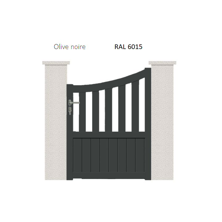 RAL 6015