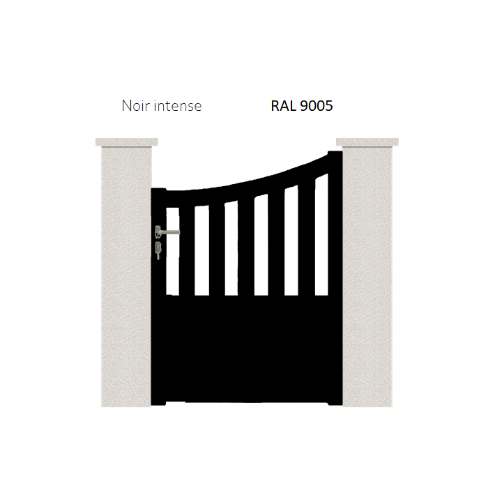RAL 9005