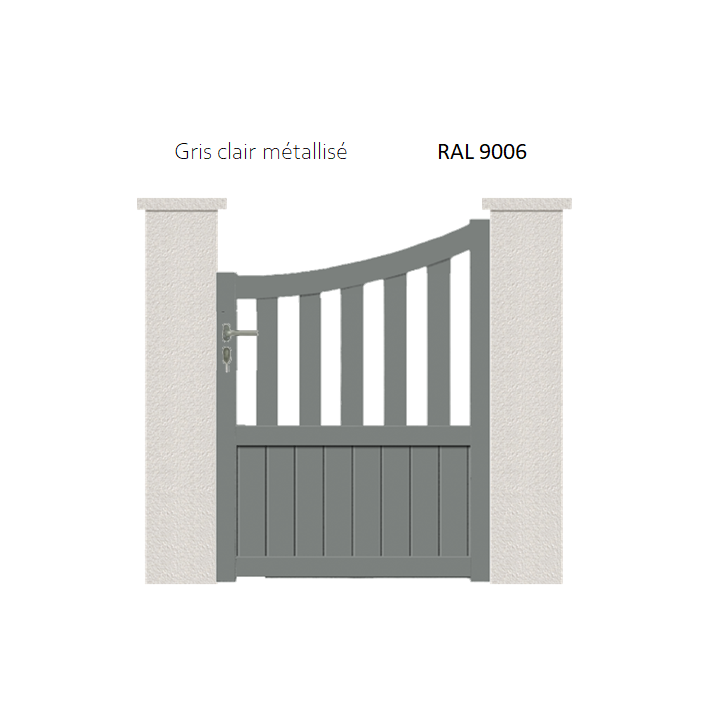 RAL 9006