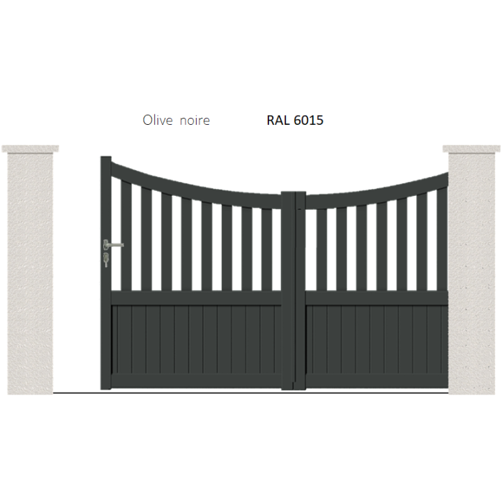 RAL 6015